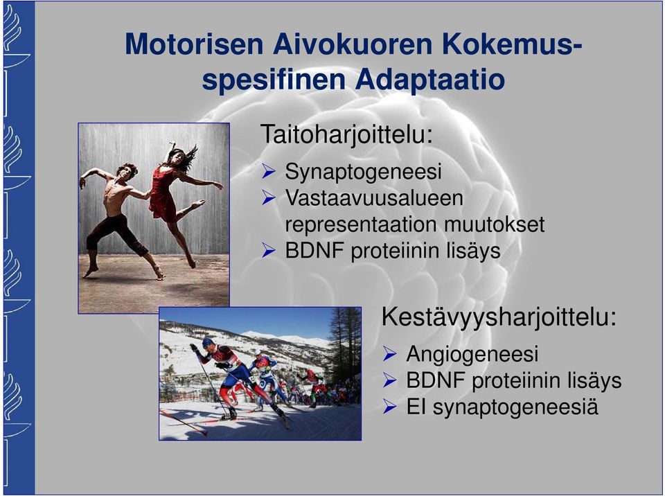 representaation muutokset BDNF proteiinin lisäys