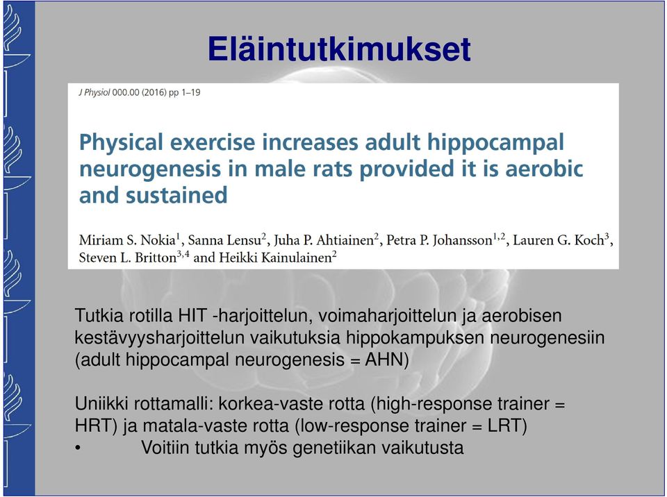 neurogenesis = AHN) Uniikki rottamalli: korkea-vaste rotta (high-response trainer =