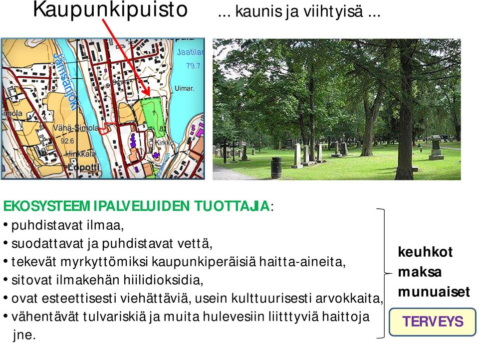 tekevät myrkyttömiksi kaupunkiperäisiä haitta-aineita, sitovat ilmakehän hiilidioksidia, ovat