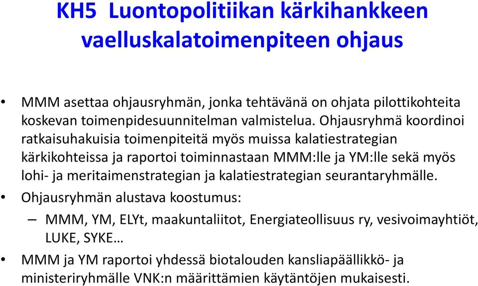 Ohjausryhmä koordinoi ratkaisuhakuisia toimenpiteitä myös muissa kalatiestrategian kärkikohteissa ja raportoi toiminnastaan MMM:lle ja YM:lle sekä myös lohi