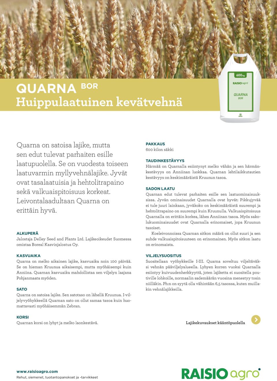 Lajikeoikeudet Suomessa omistaa Boreal Kasvinjalostus Oy. Quarna on melko aikainen lajike, kasvuaika noin 100 päivää. Se on hieman Kruunua aikaisempi, mutta myöhäisempi kuin Anniina.