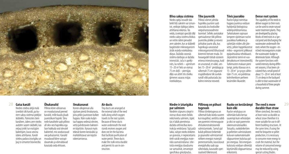 Dažādās sezonās sistēma darbojas ar dažādu intensitāti, taču ir aprēķināts, ka neliels apmēram 15 20 m 2 liels un vismaz 75 cm dziļš piemājas dīķis var attīrīt trīs cilvēku ģimenes vasaras mājas