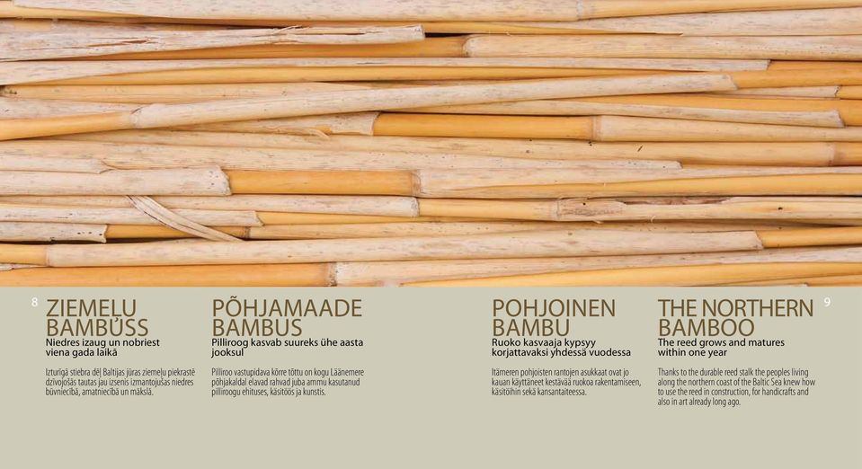 Pilliroo vastupidava kõrre tõttu on kogu Läänemere põhjakaldal elavad rahvad juba ammu kasutanud pilliroogu ehituses, käsitöös ja kunstis.