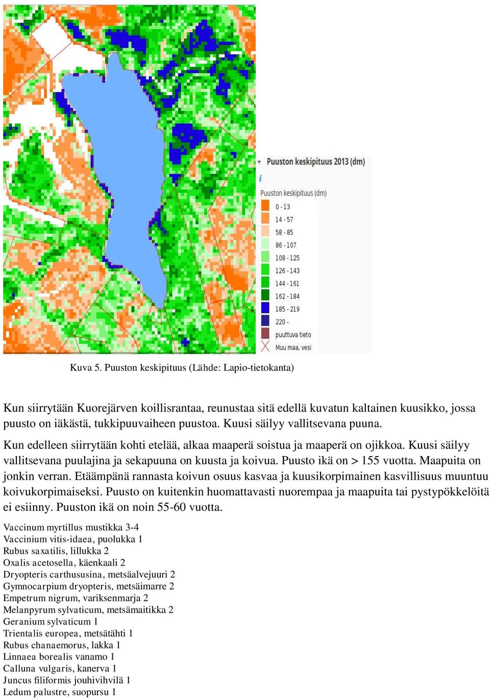 Puusto ikä on > 155 vuotta. Maapuita on jonkin verran. Etäämpänä rannasta koivun osuus kasvaa ja kuusikorpimainen kasvillisuus muuntuu koivukorpimaiseksi.