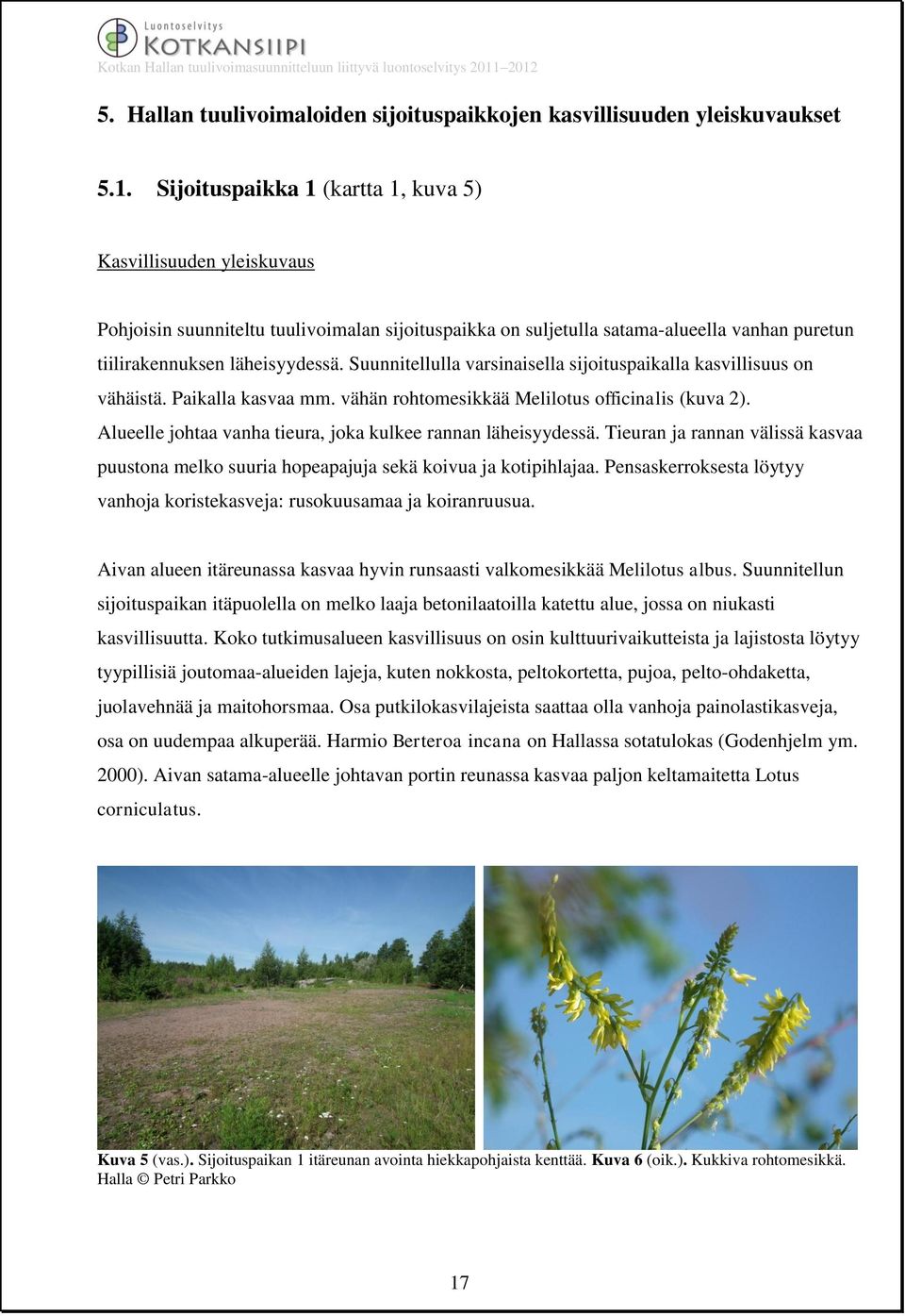 Suunnitellulla varsinaisella sijoituspaikalla kasvillisuus on vähäistä. Paikalla kasvaa mm. vähän rohtomesikkää Melilotus officinalis (kuva 2).