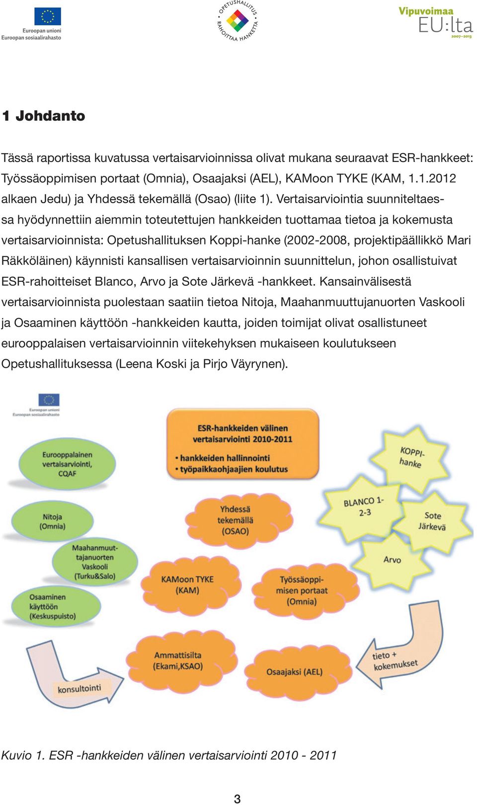 Räkköläinen) käynnisti kansallisen vertaisarvioinnin suunnittelun, johon osallistuivat ESR-rahoitteiset Blanco, Arvo ja Sote Järkevä -hankkeet.