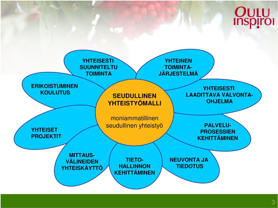 seudullinen yhteistyö YHTEISESTI LAADITTAVA VALVONTA- OHJELMA PALVELU- PROSESSIEN