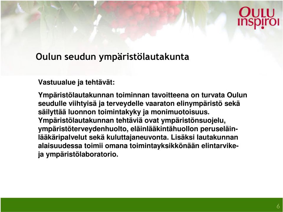 Ympäristölautakunnan tehtäviä ovat ympäristönsuojelu, ympäristöterveydenhuolto, eläinlääkintähuollon