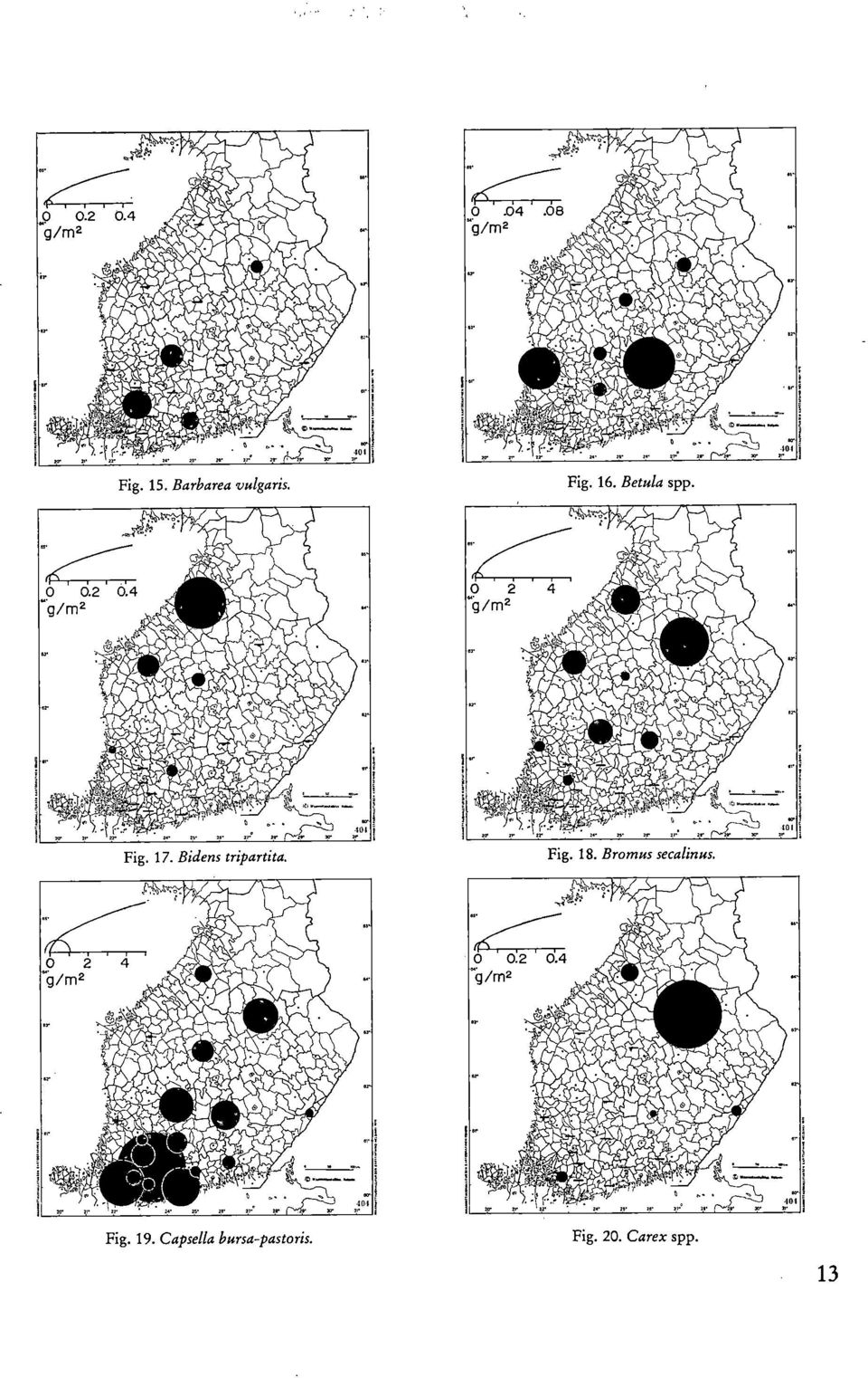 Fig. 18. Bromus secalinus. Fig. 19.