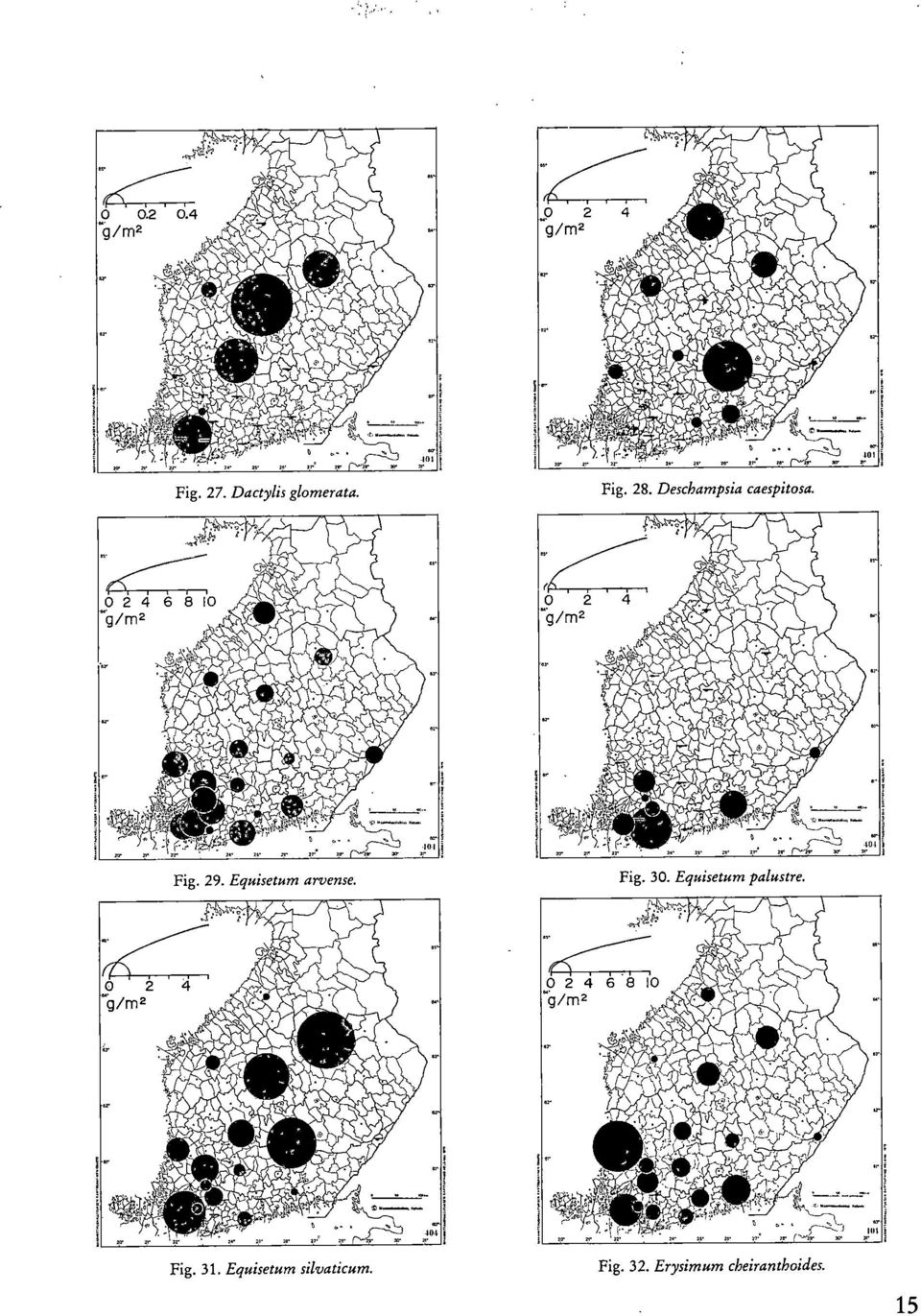 Equisetum arvense. Fig. 30. Equisetum palustre.