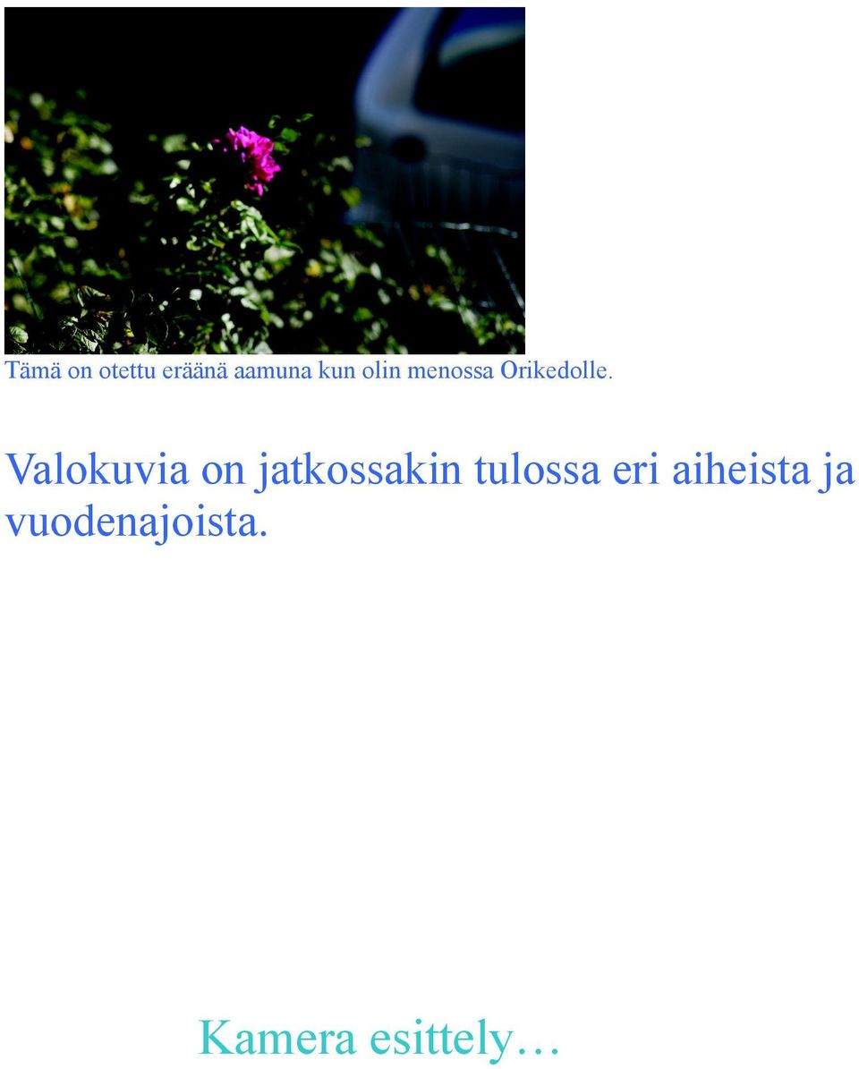 Valokuvia on jatkossakin tulossa