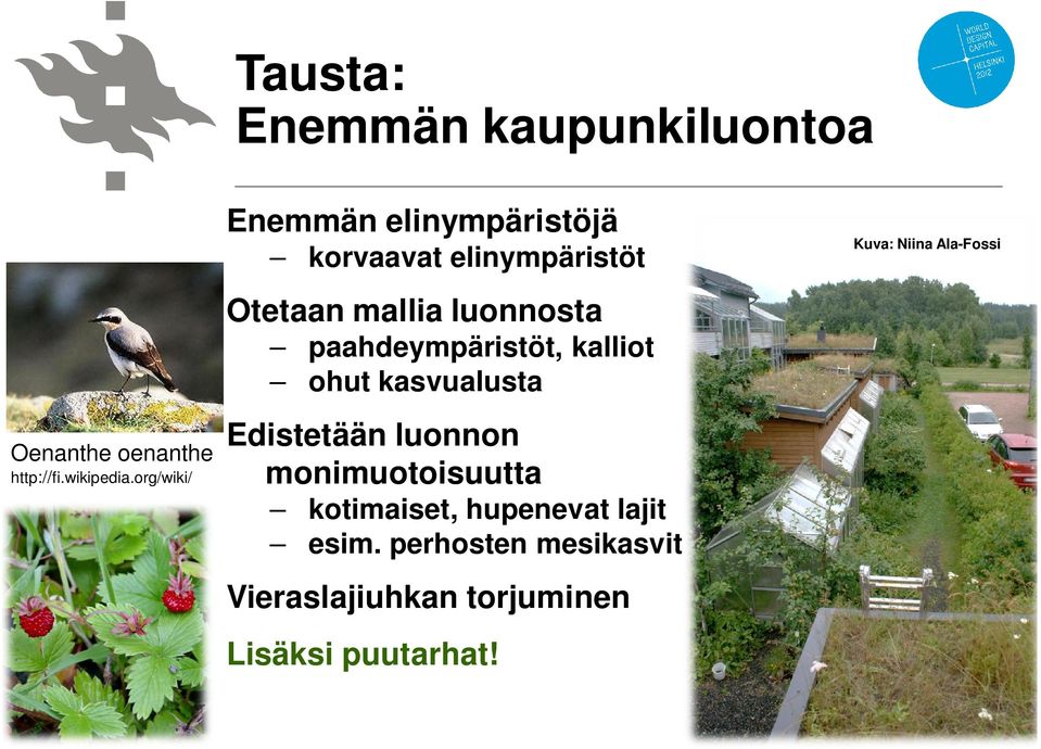 paahdeympäristöt, kalliot ohut kasvualusta Edistetään luonnon monimuotoisuutta kotimaiset,