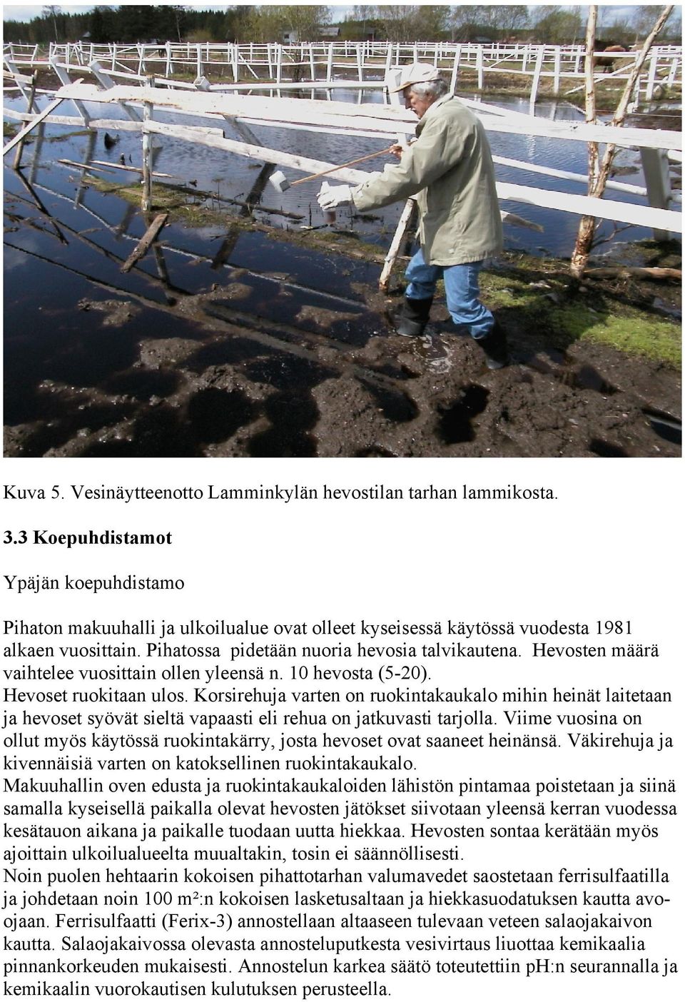 Hevosten määrä vaihtelee vuosittain ollen yleensä n. 10 hevosta (5-20). Hevoset ruokitaan ulos.