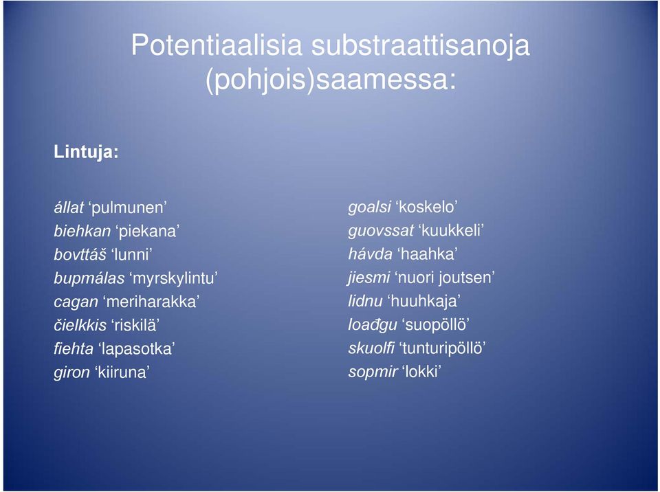 riskilä fiehta lapasotka giron kiiruna goalsi koskelo guovssat kuukkeli hávda