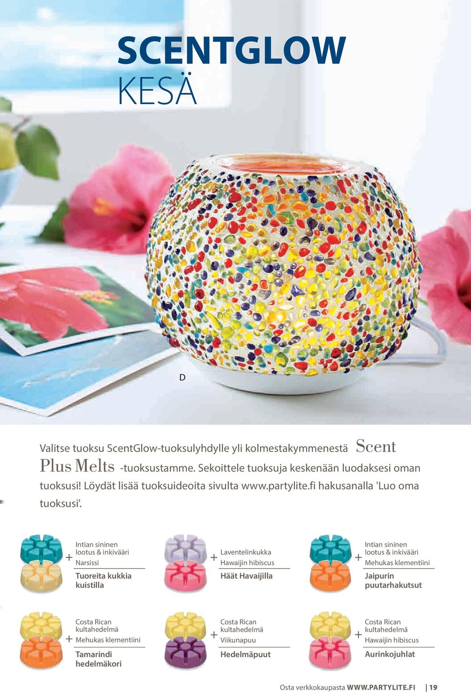 Intian sininen lootus & inkivääri Narsissi Tuoreita kukkia kuistilla Laventelinkukka Hawaijin hibiscus Häät Havaijilla Intian sininen lootus & inkivääri Mehukas