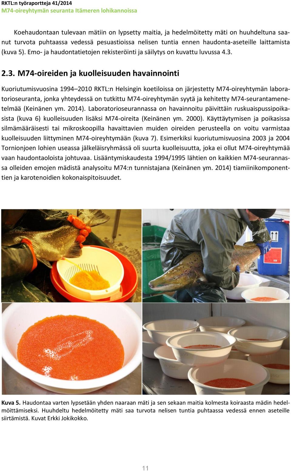 2.3. M74-oireiden ja kuolleisuuden havainnointi Kuoriutumisvuosina 1994 2010 RKTL:n Helsingin koetiloissa on järjestetty M74-oireyhtymän laboratorioseuranta, jonka yhteydessä on tutkittu