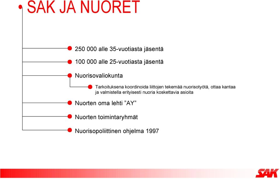 nuorisotyötä, ottaa kantaa ja valmistella erityisesti nuoria koskettavia