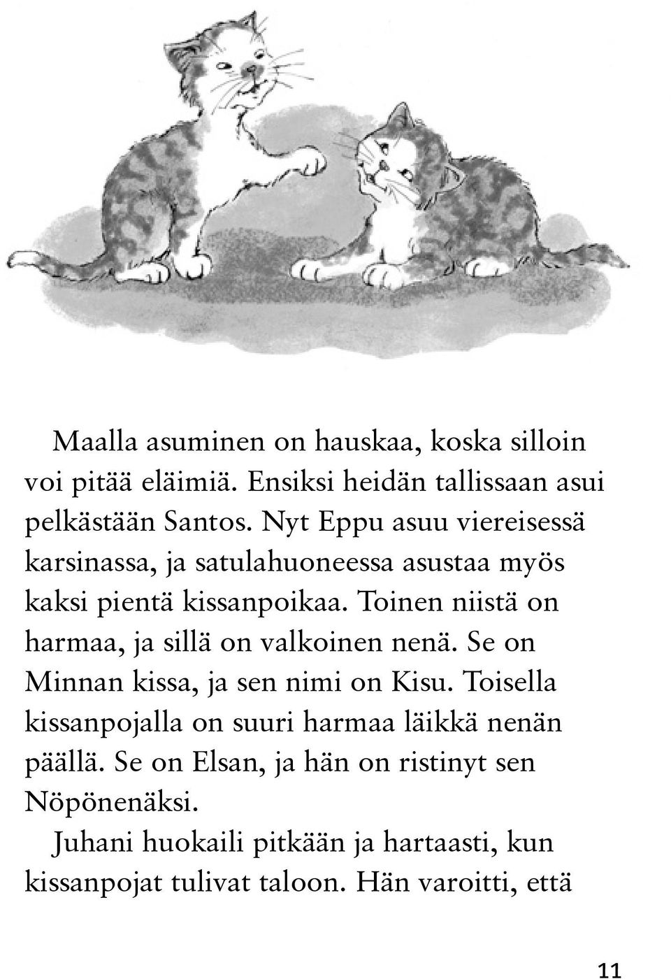 Toinen niistä on harmaa, ja sillä on valkoinen nenä. Se on Minnan kissa, ja sen nimi on Kisu.