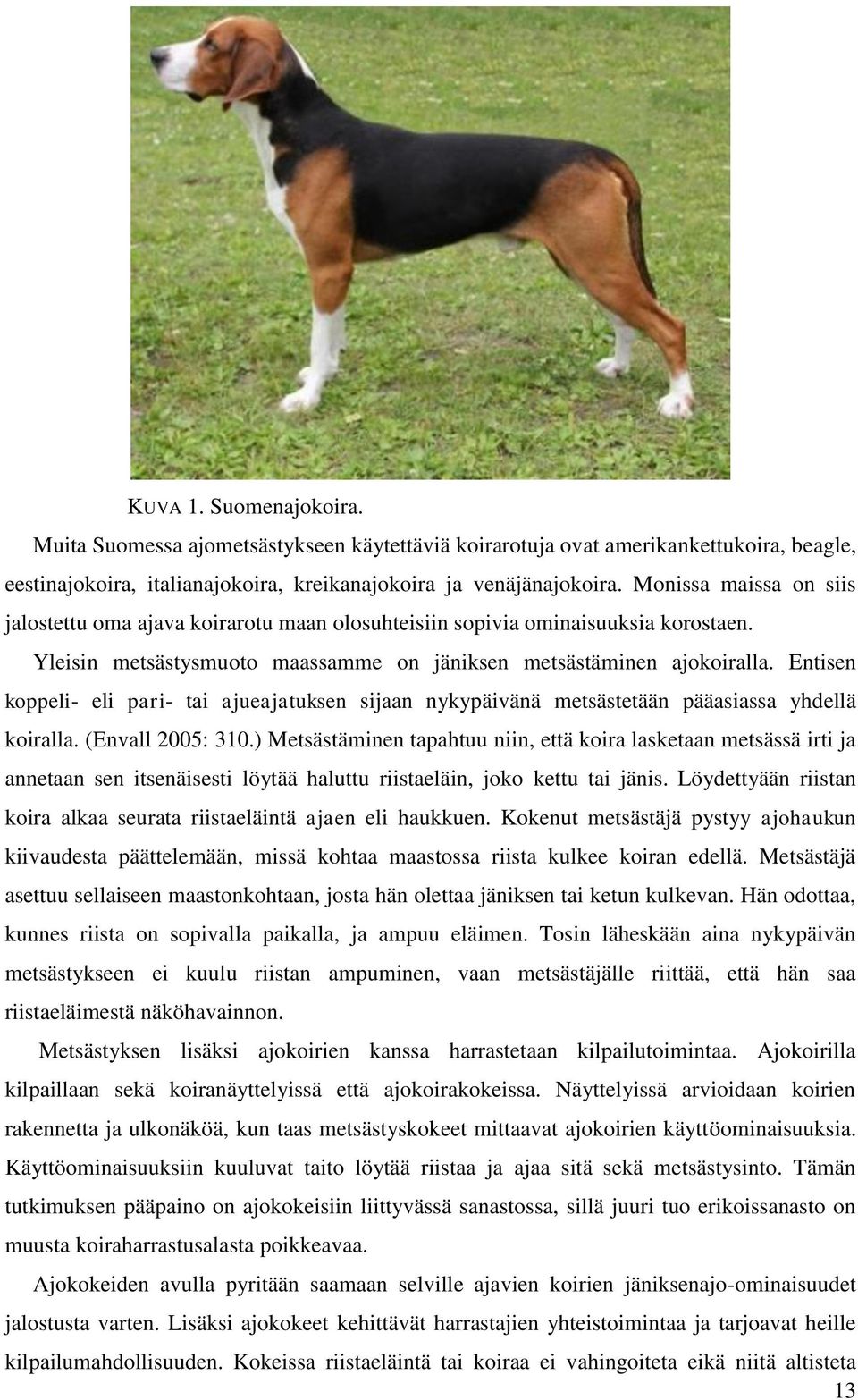 Entisen koppeli- eli pari- tai ajueajatuksen sijaan nykypäivänä metsästetään pääasiassa yhdellä koiralla. (Envall 2005: 310.