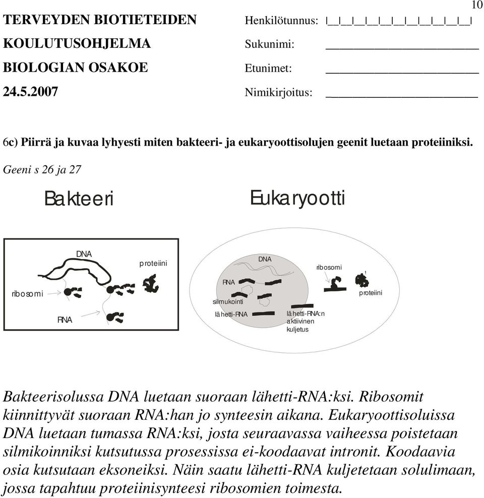 Bakteerisolussa DNA luetaan suoraan lähetti-rna:ksi. Ribosomit kiinnittyvät suoraan RNA:han jo synteesin aikana.