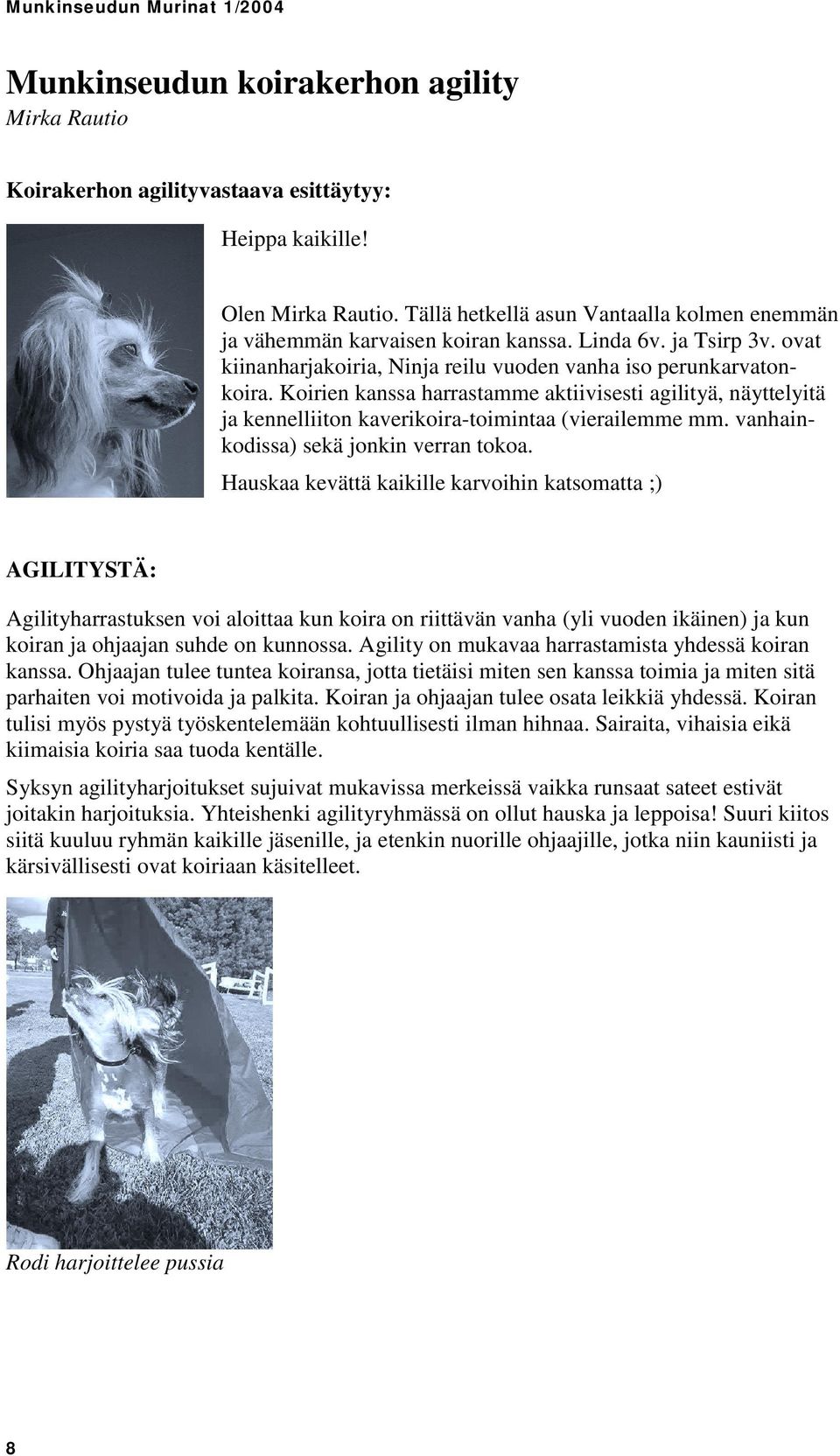 Koirien kanssa harrastamme aktiivisesti agilityä, näyttelyitä ja kennelliiton kaverikoira-toimintaa (vierailemme mm. vanhainkodissa) sekä jonkin verran tokoa.