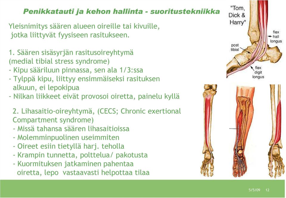 lepokipua - Nilkan liikkeet eivät provosoi oiretta, painelu kyllä 2.