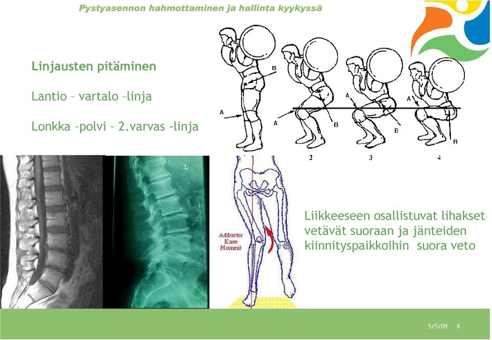 2.varvas -linja Liikkeeseen osallistuvat lihakset