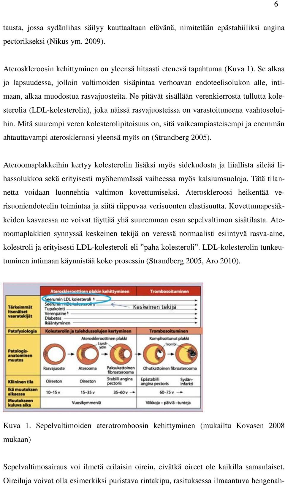 Ne pitävät sisällään verenkierrosta tullutta kolesterolia (LDL-kolesterolia), joka näissä rasvajuosteissa on varastoituneena vaahtosoluihin.