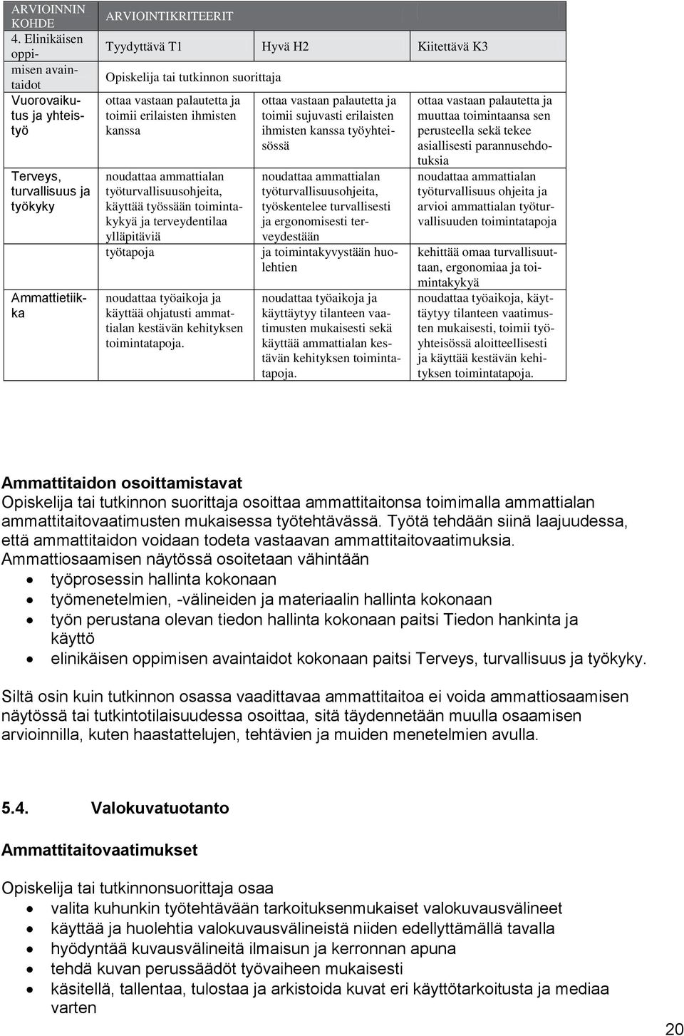 vaatimusten mukaisesti, toimii työyhteisössä aloitteellisesti ja käyttää kestävän kehityksen toimintatapoja.