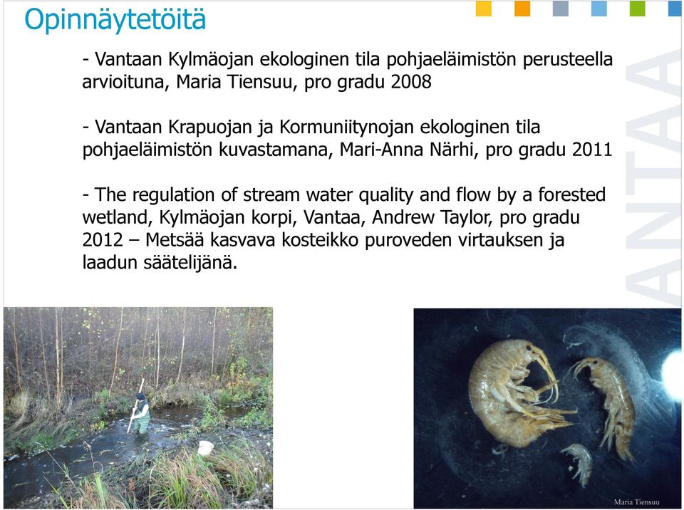 2011 - The regulation of stream water quality and flow by a forested wetland, Kylmäojan korpi, Vantaa, Andrew Taylor,