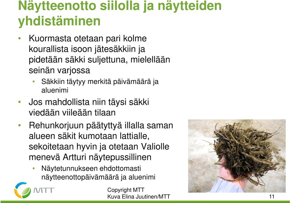 viileään tilaan Rehunkorjuun päätyttyä illalla saman alueen säkit kumotaan lattialle, sekoitetaan hyvin ja otetaan Valiolle