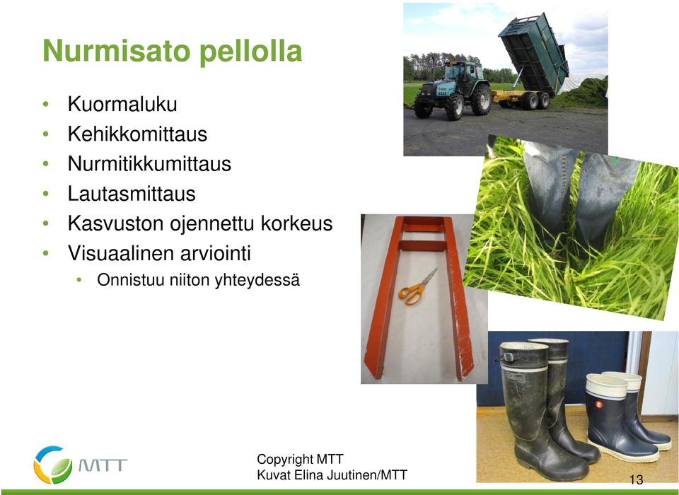 ojennettu korkeus Visuaalinen arviointi Onnistuu