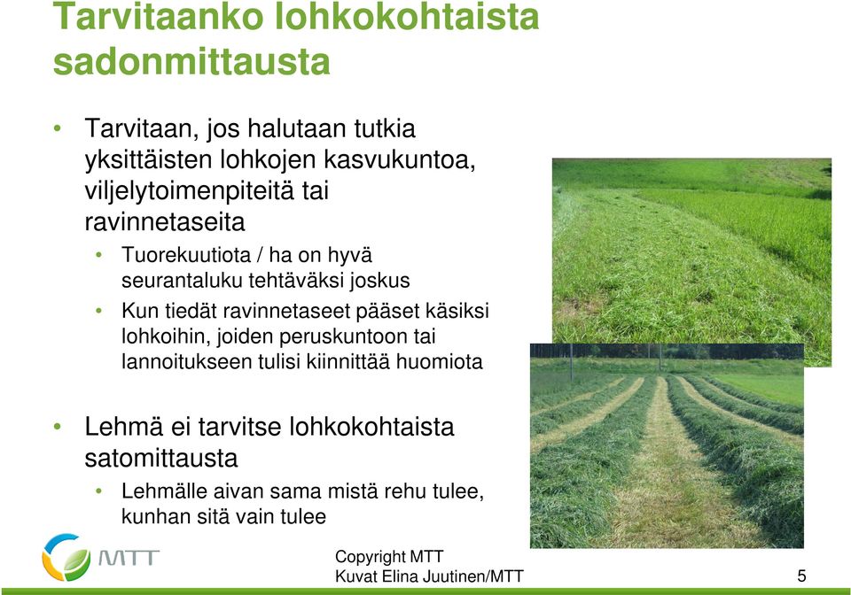 ravinnetaseet pääset käsiksi lohkoihin, joiden peruskuntoon tai lannoitukseen tulisi kiinnittää huomiota Lehmä ei