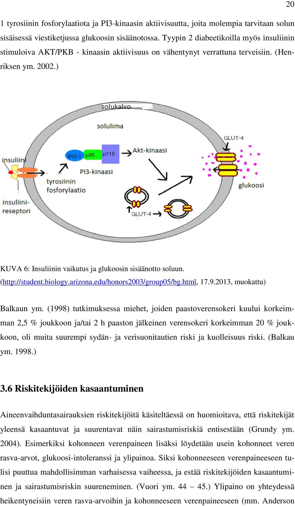 (http://student.biology.arizona.edu/honors2003/group05/bg.html, 17.9.2013, muokattu) Balkaun ym.