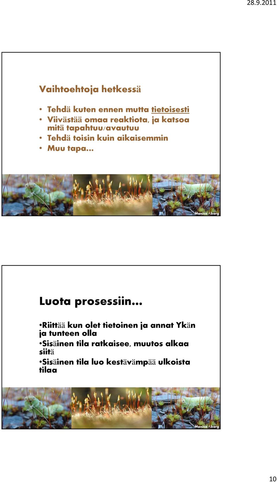 tapa Luota prosessiin Riittää kun olet tietoinen ja annat Ykän ja tunteen olla