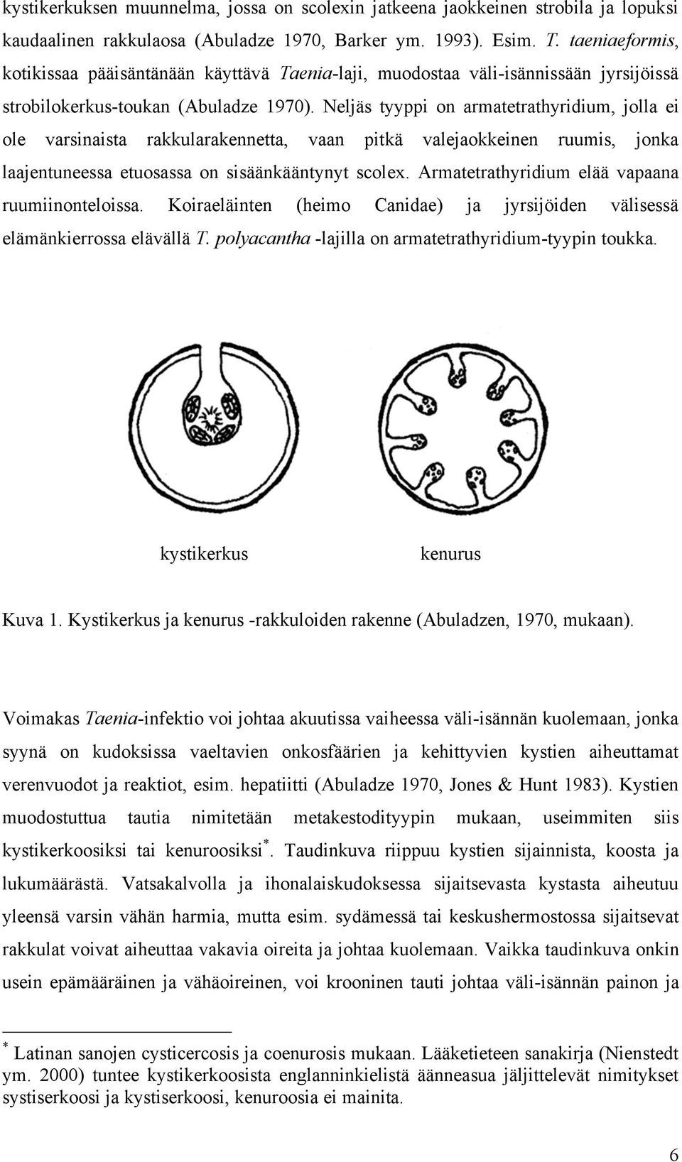 Neljäs tyyppi on armatetrathyridium, jolla ei ole varsinaista rakkularakennetta, vaan pitkä valejaokkeinen ruumis, jonka laajentuneessa etuosassa on sisäänkääntynyt scolex.