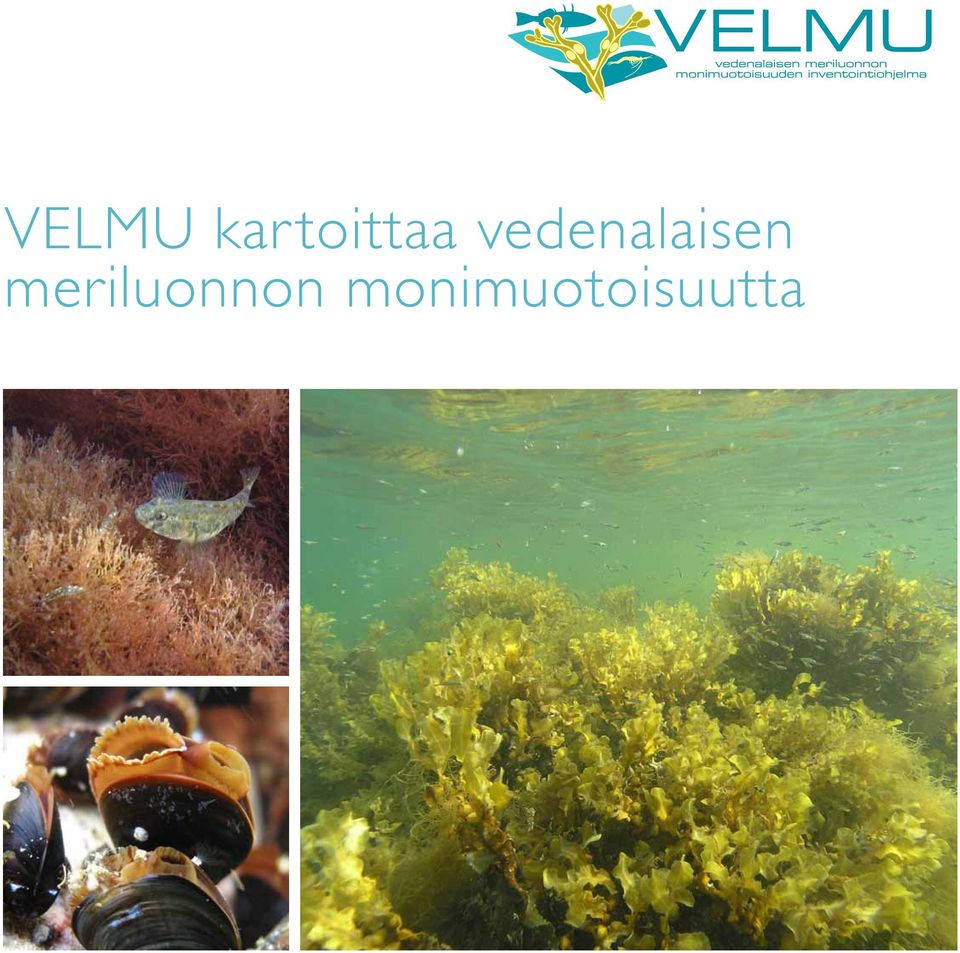 vedenalaisen