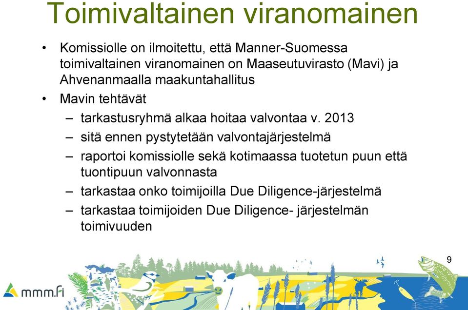 2013 sitä ennen pystytetään valvontajärjestelmä raportoi komissiolle sekä kotimaassa tuotetun puun että tuontipuun