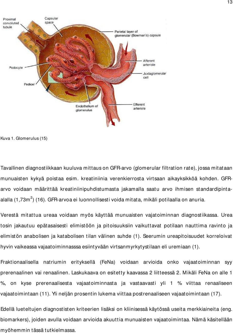 GFR-arvoa ei luonnollisesti voida mitata, mikäli potilaalla on anuria. Verestä mitattua ureaa voidaan myös käyttää munuaisten vajatoiminnan diagnostiikassa.