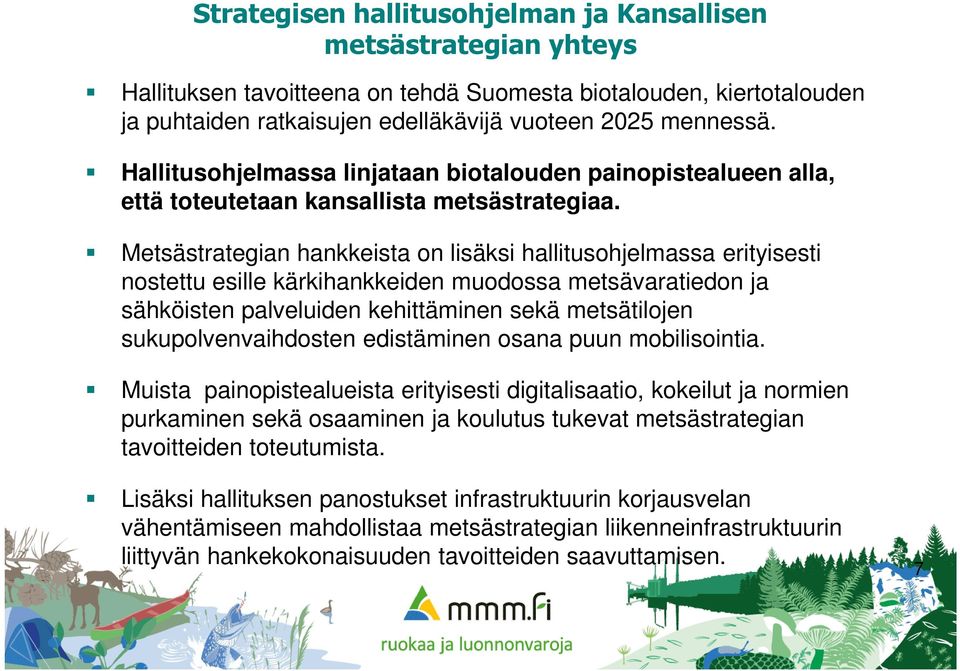 Metsästrategian hankkeista on lisäksi hallitusohjelmassa erityisesti nostettu esille kärkihankkeiden muodossa metsävaratiedon ja sähköisten palveluiden kehittäminen sekä metsätilojen