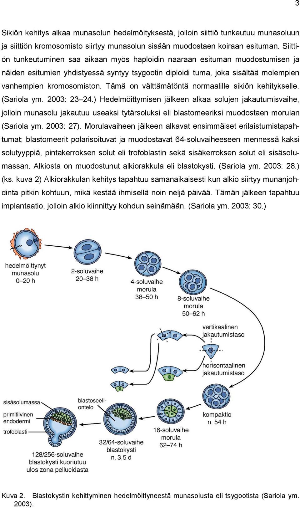 Tämä on välttämätöntä normaalille sikiön kehitykselle. (Sariola ym. 2003: 23 24.