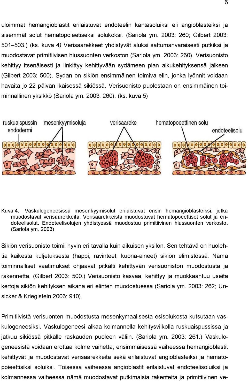 Verisuonisto kehittyy itsenäisesti ja linkittyy kehittyvään sydämeen pian alkukehityksensä jälkeen (Gilbert 2003: 500).