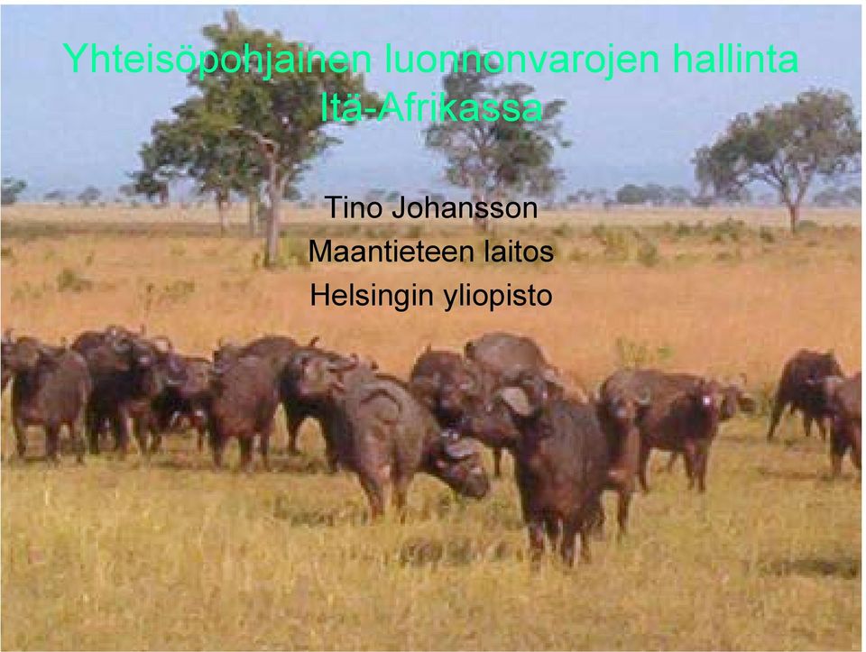 Itä-Afrikassa Tino