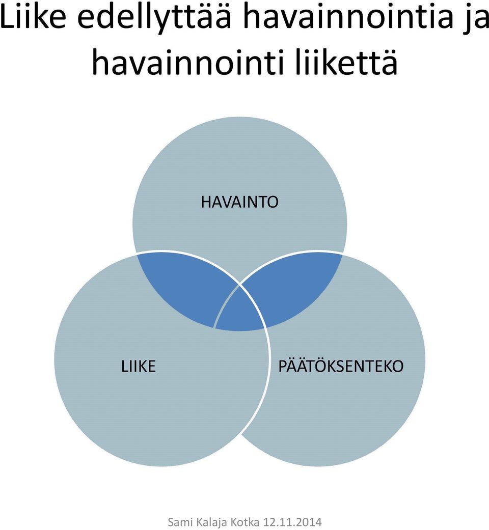 havainnointi