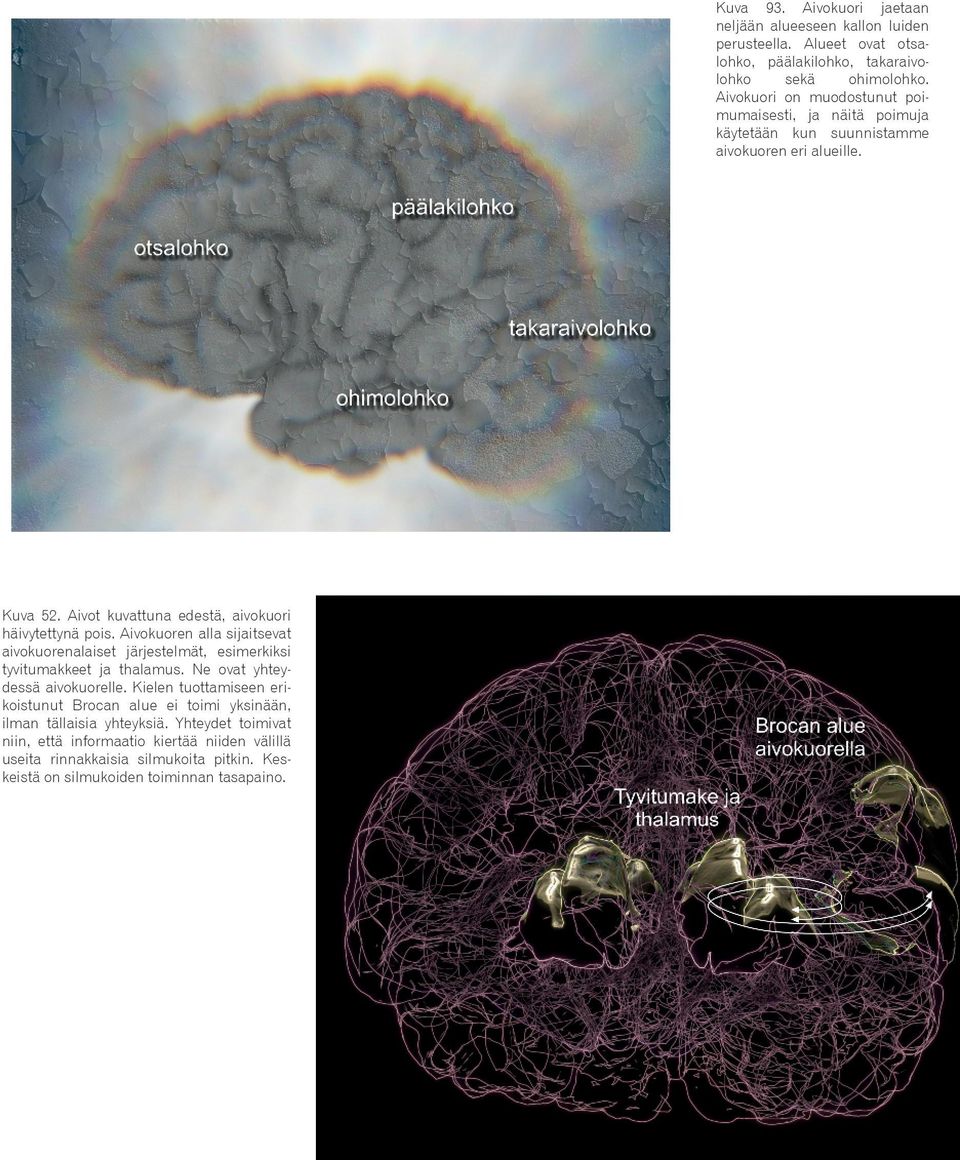 Aivokuoren alla sijaitsevat aivokuorenalaiset järjestelmät, esimerkiksi tyvitumakkeet ja thalamus. Ne ovat yhteydessä aivokuorelle.