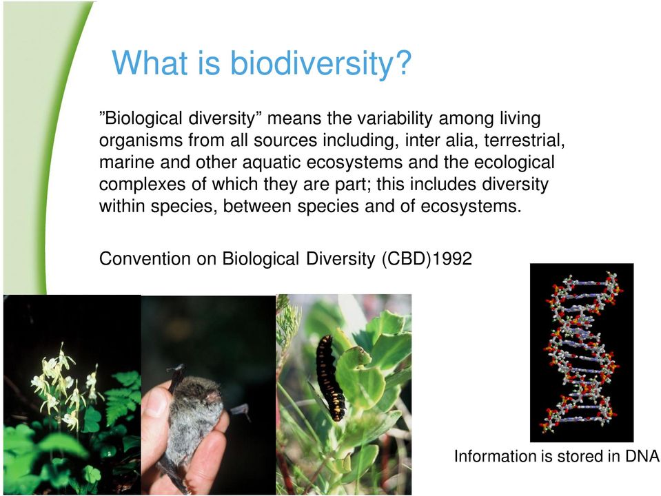 inter alia, terrestrial, marine and other aquatic ecosystems and the ecological complexes of
