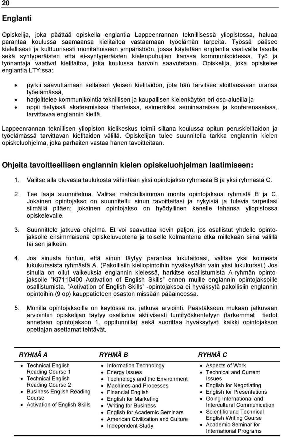 Työ ja työnantaja vaativat kielitaitoa, joka koulussa harvoin saavutetaan.