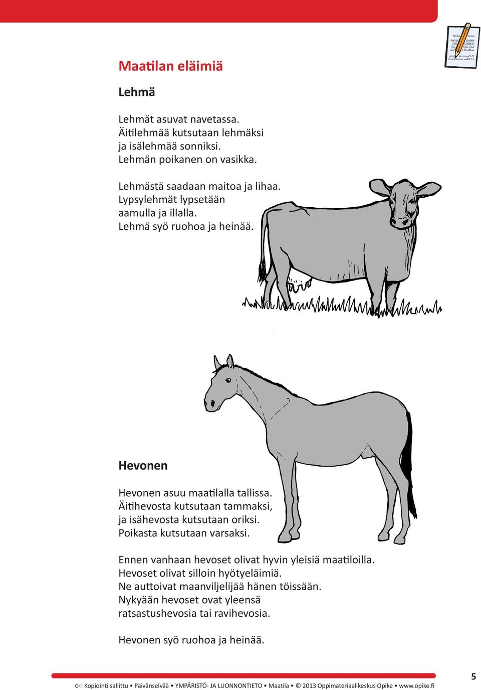 Äitihevosta kutsutaan tammaksi, ja isähevosta kutsutaan oriksi. Poikasta kutsutaan varsaksi. Ennen vanhaan hevoset olivat hyvin yleisiä maatiloilla.