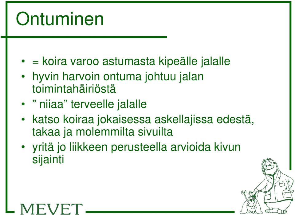 jalalle katso koiraa jokaisessa askellajissa edestä, takaa ja