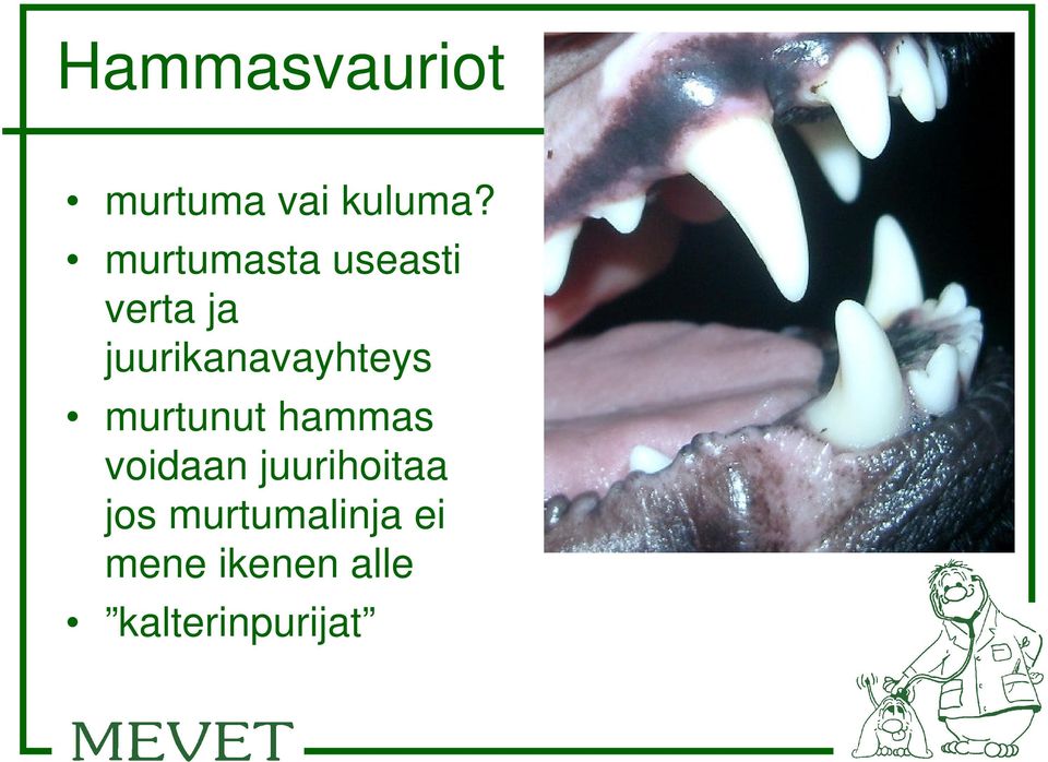 juurikanavayhteys murtunut hammas voidaan